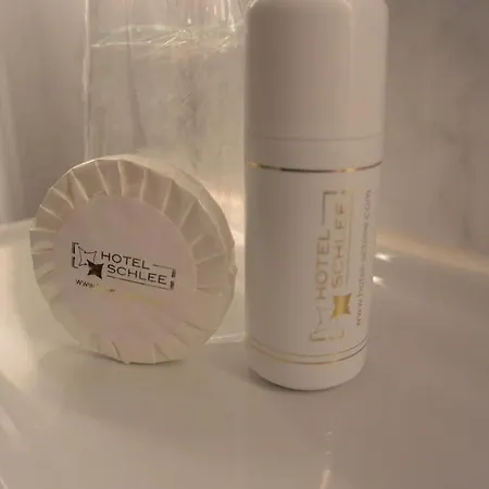 酒店 诗丽酒店 3*